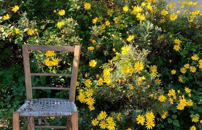 Agriturismo Etna-Mare - Photo 41