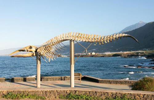 TenoHomes Elegant Hideaway in Nature - Foto 20