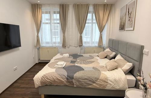 Apartmenthaus Döbeln Zentrum - Foto 4