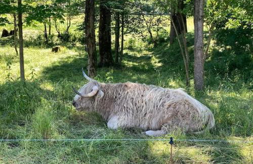 4 Star Maisonnette mit Kaiser Blick, Sauna, Schwimmbad - Foto 13