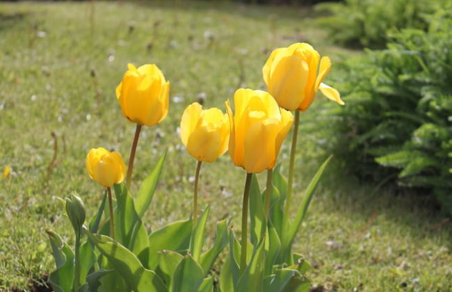 Linda Vista Apart Hotel - Photo 34