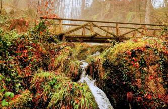 Black Forest Stay - Apartment Hirschperle - Foto 20