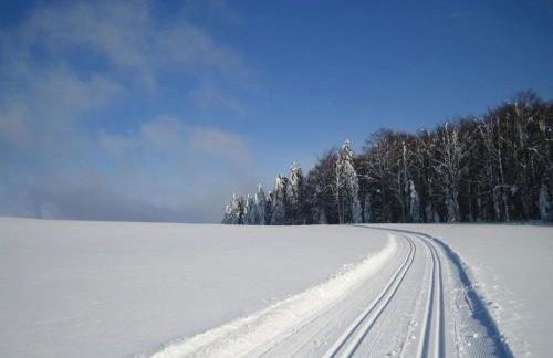 Wohnung in Sonnen nahe Skiliften - Foto 40