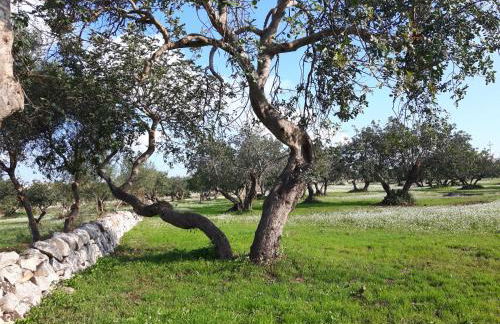 Scicli Città felice - Foto 14