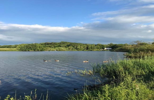 Spacious Holiday Home in Ulmen Near the Centre - Foto 32