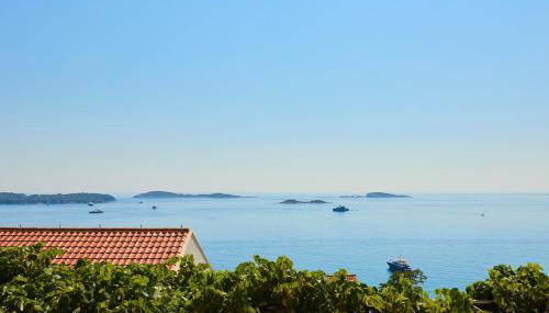 Apartman Ani - Foto 4