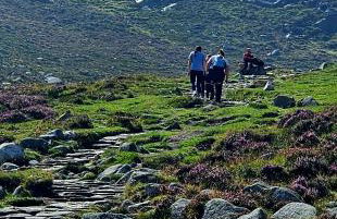 Red Robin Cottage - Foto 28