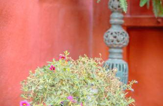 Casa del Sol Terrace Parking - Foto 40