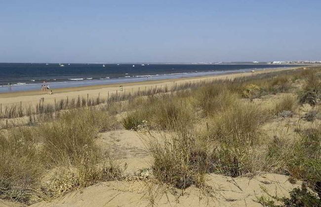 Leo Punta Umbria - Foto 75