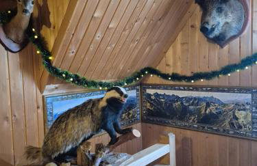 Miodowa Chatka - Foto 29