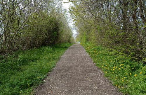 Ferienhaus Ebsen HH rechts - Foto 25