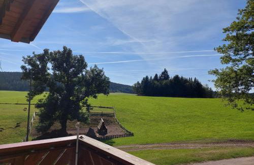 Urlaub an der Grenze - Foto 25