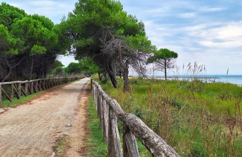 Lovely Flat With Private Garden Next to the Beach - Foto 42