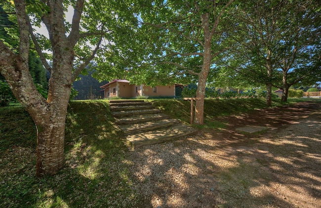 HolaCamp Camino - Photo 7