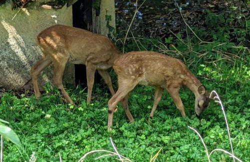 Holiday Home im Herzen des Périgord Noir in der Nähe von Limeuil by Interhome - Foto 25