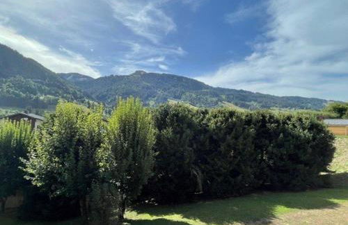 Spacieux 4 pièces avec parking et vue imprenable à Praz-sur-Arly - FR-1-603-40 - Foto 23