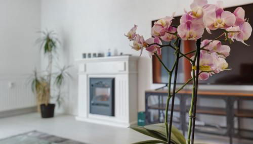 eva Ferienwohnung - Foto 4