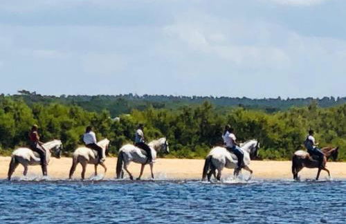 Casa do Mercado - Foto 39