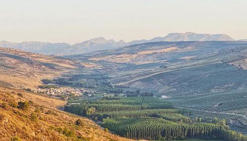 Casa Pepita - Foto 3