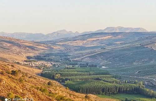 Casa Pepita - Foto 3