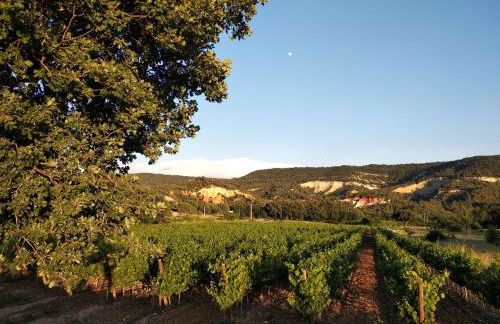 Maison de vacances avec piscine privative, Oustau des Oliviers vue dominante Colorado provençal - Foto 12