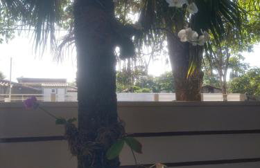 Casa de campo em Furnastur - Foto 42