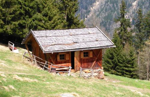 Perchnerhof - Foto 18