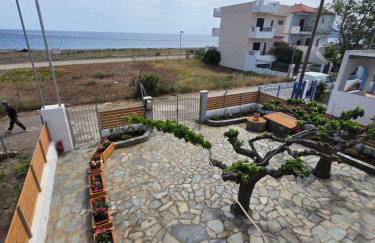 Sea Lilly - Photo 32