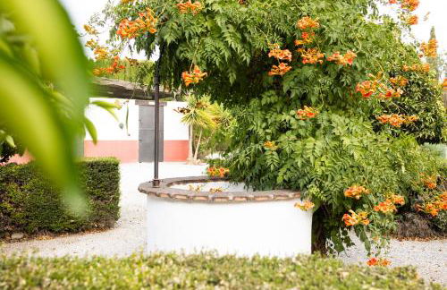 LA CUADRA, Finca a los pies de Sierra Nevada, a 10 minutos del centro, Piscina, Jardín, Barbacoa - Foto 45