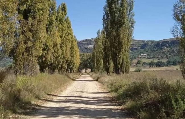 Boschfontein Mountain Lodge - Foto 29