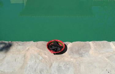 Casa do Sul - Foto 41