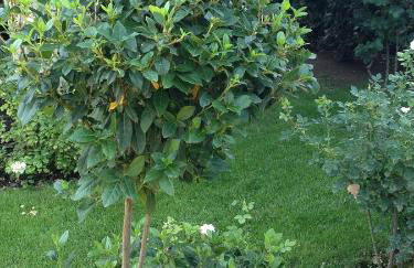 Villa Giovanna - Foto 76