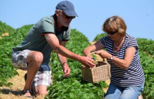 Obst- und Weingut Ingenhof - Foto 14