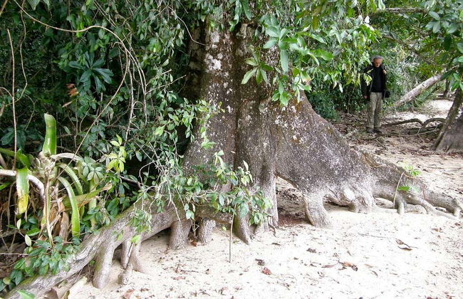 Trekking nella Selva Lacandona - Foto 3