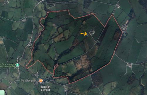 Mallard at Spring Head Farm - Foto 33