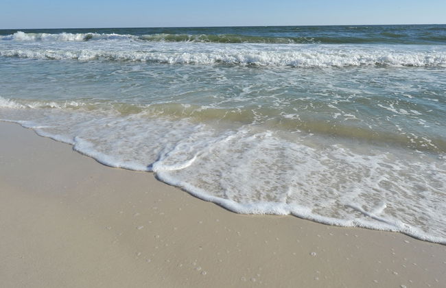 San Carlos Condominiums by Wyndham Vacation Rentals - Foto 36