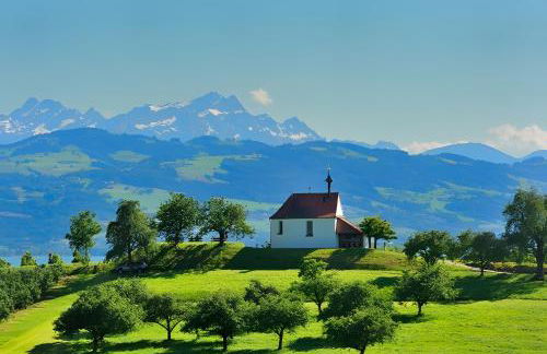 Ferienwohnungen Merkle - Foto 6
