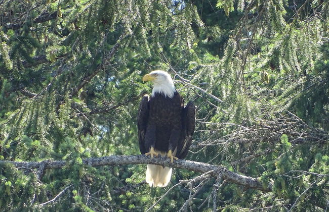 Suite at Trails End Beach House - Photo 22