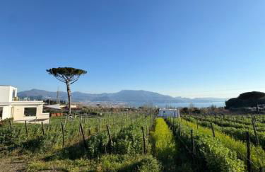 Vigna delle Rose - Foto 9