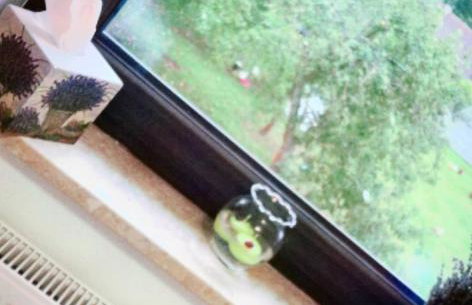 Agroturystyka Zaborski Sad - Foto 18