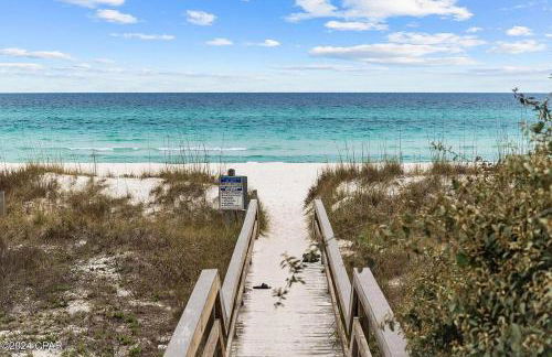 Lion of the Beach - Photo 38