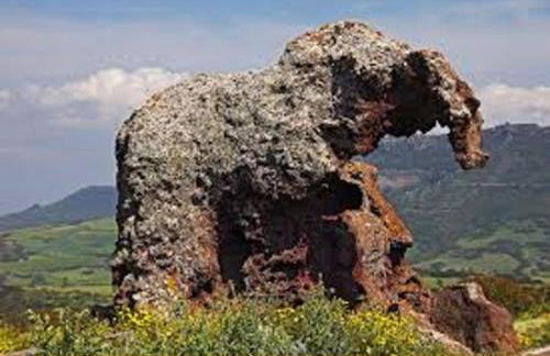 VENTUS DOMUS - Foto 12