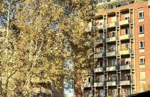 Gianduja - Attico con terrazzo - Foto 43