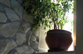 Vía Caparra Superior - Foto 44