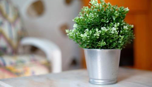 Casa la solapa - Foto 4