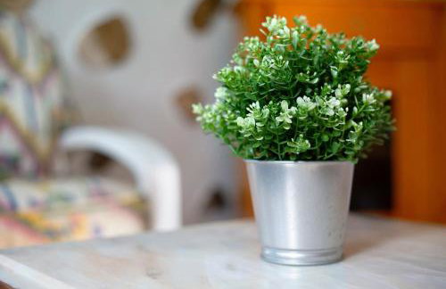 Casa la solapa - Foto 4