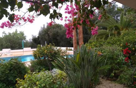 Feliz Apartments - Foto 60