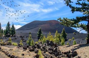 Apartamento A San Jose de los Llanos - Foto 13