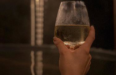 Osada Puszczy Śpiew - Foto 12