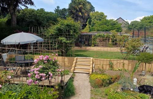 The Conifers 3 Room Small but Stylish Self Catering Bedsit Flat in Nature Reserve Free Eden taxi b4 9pm no lounge - Photo 9